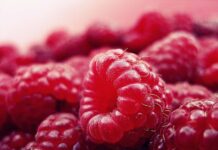 New Connection Found Between Nicotine and Type 2 Diabetes